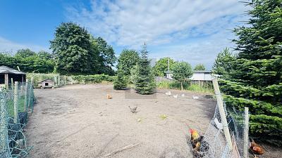 Foto - Grundstück zum Kaufen in Tespe