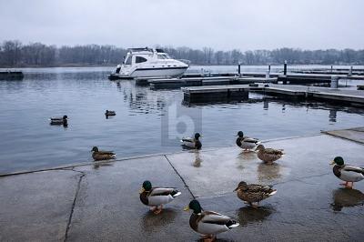 Foto - MODERNES WOHNEN DIREKT AM WASSER