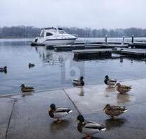 MODERNES WOHNEN DIREKT AM WASSER - Berlin-Grünau