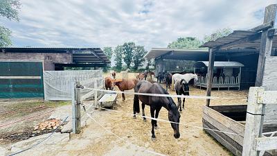 Foto - Einfamilienhaus mit 280,00 m&sup2; in Oldersbek zum Kaufen