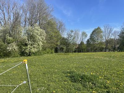 Foto - Freizeitgrundstück zum Kaufen in Berg