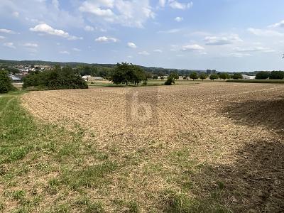 Foto - PLANE DEIN EIGENES TRAUMHAUS IM GRÜNEN