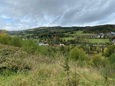 Foto - Grundstück in Balve zum Kaufen