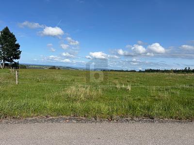 Foto - Grundstück zum Kaufen in Bonndorf im Schwarzwald