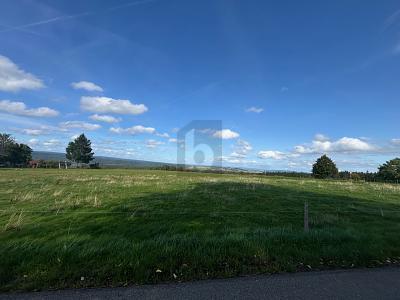 Foto - Grundstück in Bonndorf im Schwarzwald zum Kaufen