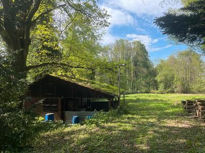 Foto - IHR GANZ PRIVATES STÜCK NATUR - 59.000,00&nbsp;EUR Kaufpreis, ca.&nbsp; 7.500,00&nbsp;m&sup2;