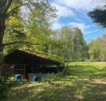 IHR GANZ PRIVATES STÜCK NATUR - 59.000,00&nbsp;EUR Kaufpreis, ca.&nbsp; 7.500,00&nbsp;m&sup2; in Kuppenheim (PLZ: 76456)