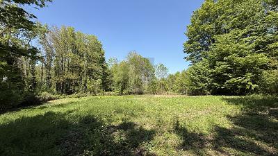 Foto - Freizeitgrundstück zum Kaufen in Kuppenheim