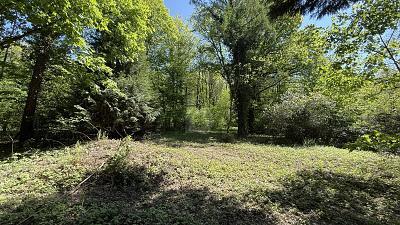 Foto - Freizeitgrundstück in Kuppenheim