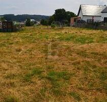 FERNBLICK & SONNIGE SÜDWESTLAGE - Arzfeld