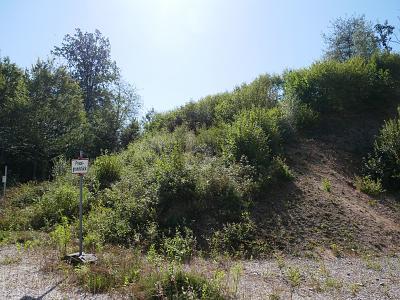 Foto - Grundstück in Regenstauf