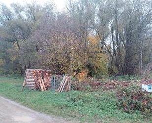 IDYLLISCHES WALDSTÜCK AM ORTSRAND - Landsberied