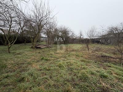 Foto - Einfamilienhaus mit 190,00 m&sup2; in Sontheim an der Brenz zum Kaufen