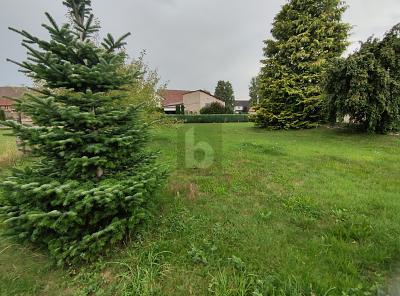 Foto - Grundstück in Bernstadt zum Kaufen