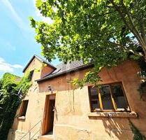 HISTORISCHES HOFENSEMBLE MIT HALLE & WERKSTATT ! - Lörzweiler