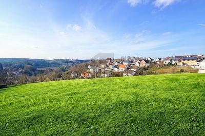 Foto - Grundstück zum Kaufen in Pegnitz