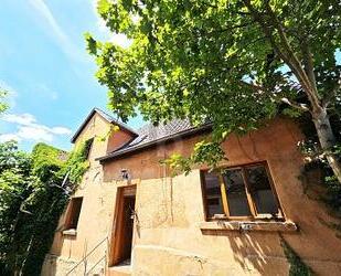 HISTORISCHES HOFENSEMBLE MIT HALLE & WERKSTATT ! - Lörzweiler