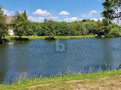 Foto - TOP LAGE IM SÜDSCHWARZWALD - 990.000,00&nbsp;EUR Kaufpreis,