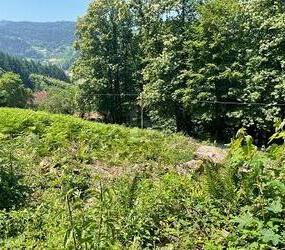 ERSCHAFFEN SIE IHREN WOHNTRAUM IM GRÜNEN - Ottenhöfen im Schwarzwald