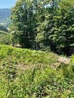 ERSCHAFFEN SIE IHREN WOHNTRAUM IM GRÜNEN - Ottenhöfen im Schwarzwald