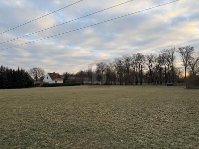 Foto - Grundstück zum Kaufen in Gieshof-Zelliner Loose