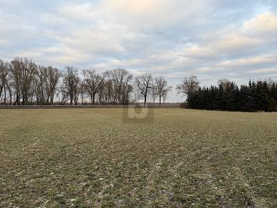 Foto - Grundstück in Gieshof-Zelliner Loose zum Kaufen