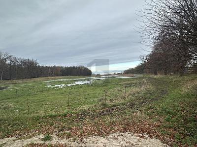 Foto - EINZIGARTIG UND NATURBELASSEN MIT BAUGRUNDSTÜCK