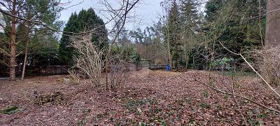 Foto - IHR NEUES PROJEKT IN IDYLLISCHER LAGE