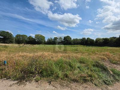 Foto - Grundstück in Kisdorf zum Kaufen