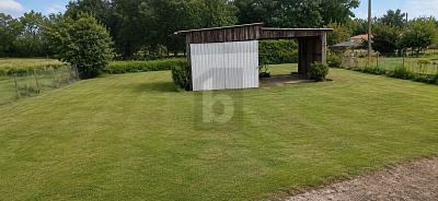 Foto - 3 Zimmer Bauernhaus, Landhaus in Rheinsberg Zühlen