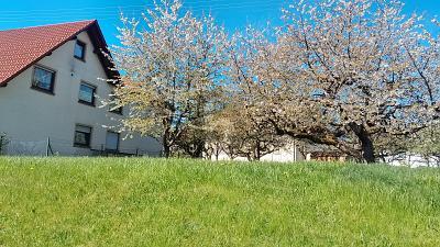 Foto - STADTNAHES WOHNGRUNDSTÜCK EFH O. MFH