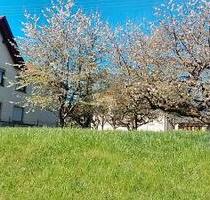 STADTNAHES WOHNGRUNDSTÜCK EFH O. MFH - Schömberg