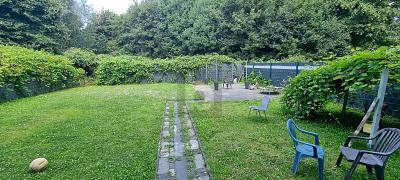 Foto - 15 Zimmer Mehrfamilienhaus, Wohnhaus zum Kaufen in Gelsenkirchen