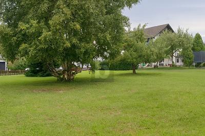 Foto - Grundstück in Balingen