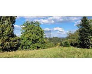 EXKLUSIVER PLATZ IN ATTRAKTIVEM WOHNORT - Schwäbisch Gmünd