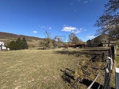 Foto - Grundstück zum Kaufen in Dassel