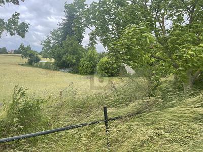 Foto - Grundstück zum Kaufen in Lebus