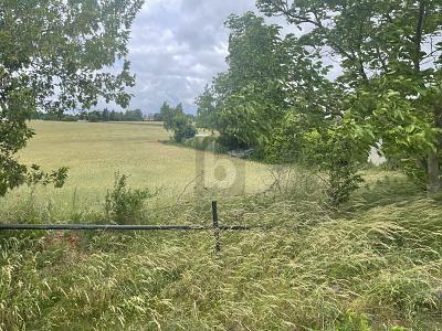 Foto - Grundstück in Lebus