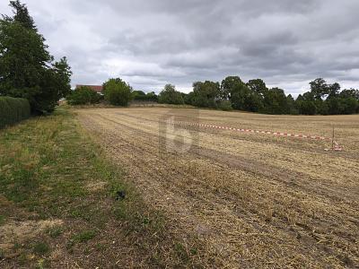 Foto - Grundstück in Lebus zum Kaufen