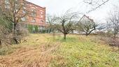 Foto - Grundstück in Freden (Leine) zum Kaufen