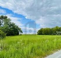 LEBEN IN DER NATUR AN DER NORDSEEKÜSTE - Wesselburenerkoog