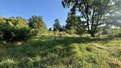 Foto - Grundstück zum Kaufen in Bleckede