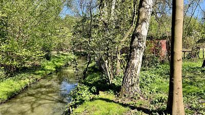 Foto - Grundstück in Hamburg