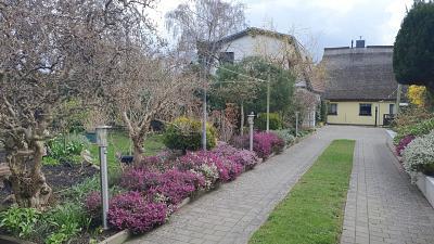 Foto - 9 Zimmer Doppelhaushälfte in Breege