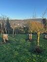 Foto - VIELE NUTZUNGSMÖGLICHKEITEN AM TÜLLINGER BERG
