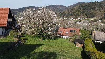 Foto - Grundstück in Bühlertal