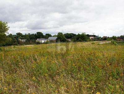 Foto - Gewerbeobjekt (Büro, Produktion, Verkauf) in Schönwölkau