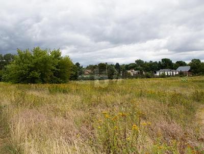 Foto - Gewerbeobjekt (Büro, Produktion, Verkauf) in Schönwölkau zum Kaufen