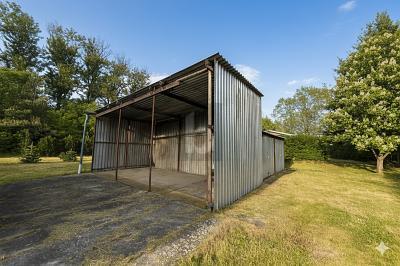 Foto - Ferienhaus mit 45,00 m² in Schildau zum Kaufen