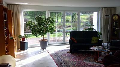 Foto - 6 Zimmer Einfamilienhaus zum Kaufen in Müllheim